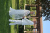 Filename=N34A1205.JPG
Filesize=407KB
Dimensions=638x425
Date added=Oct 21, 2023 N34A1205.JPG