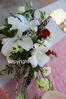 Filename=N34A1264.JPG
Filesize=83KB
Dimensions=425x638
Date added=Oct 21, 2023 N34A1264.JPG