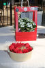 Filename=N34A1269.JPG
Filesize=88KB
Dimensions=425x638
Date added=Oct 21, 2023 N34A1269.JPG