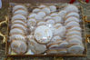 Filename=N34A1276.JPG
Filesize=123KB
Dimensions=638x425
Date added=Oct 21, 2023 N34A1276.JPG