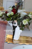 Filename=N34A1278.JPG
Filesize=71KB
Dimensions=425x638
Date added=Oct 21, 2023 N34A1278.JPG